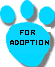 adoptions