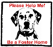 foster me