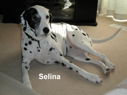 Selina